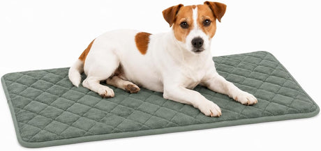 Flamingo-Hundekissen – orthopädisches Hundekissen – Bankkissen aus Memory-Schaum – Weimargrün S – Premium-Komfort für Hundebox – rutschfest – 70,5 cm