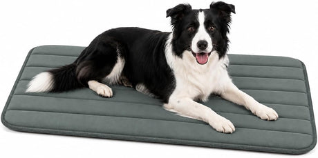 Flamingo-Hundekissen – Hundekorb – orthopädisches Xana rechteckig grün XL – 100,5 x 63,5 cm – Memory-Schaum – weiche Liegefläche – perfekt für Hundebox