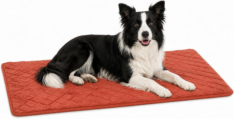Flamingo-Hundekissen – orthopädisches Hundekissen – Bankkissen aus Memory-Schaum – Weimar Cognac L – Premium-Hundematte aus Memory-Schaum – 100,5 cm