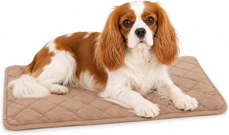 Flamingo-Hundekissen – orthopädisches Hundekissen – Memory-Schaum-Bankkissen – Weimar Beige XS – höchster Liegekomfort – rutschfest – 55,5 cm