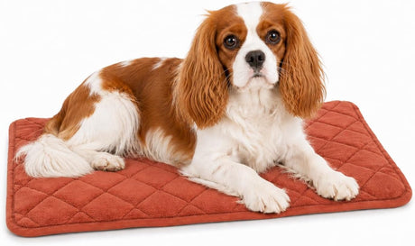 Flamingo-Hundekissen – orthopädisches Hundekissen – Memory-Schaum-Bankkissen – Weimar Cognac XS – höchster Liegekomfort – rutschfest – 55,5 cm