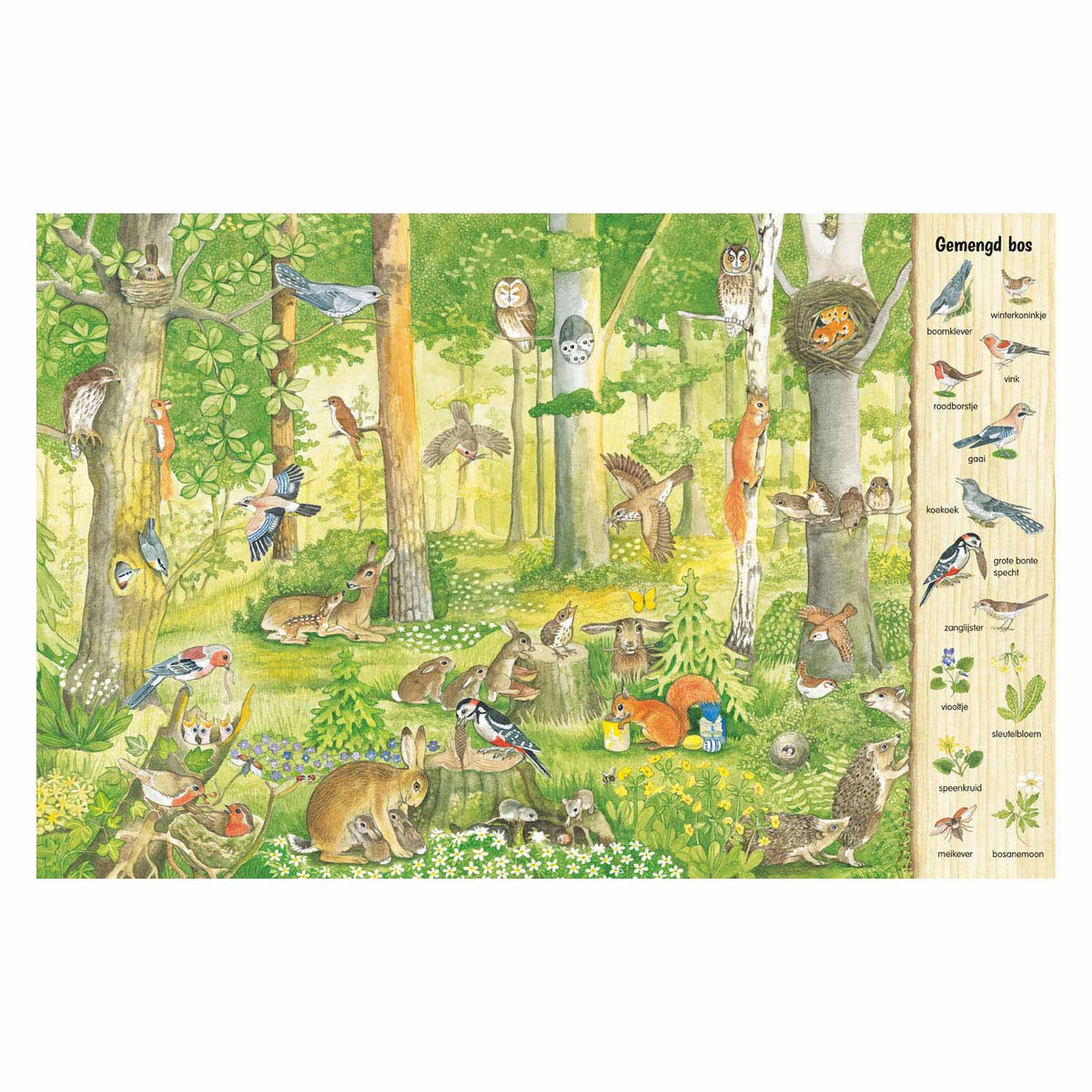 Deltas Such- und Suchbuch – im Wald