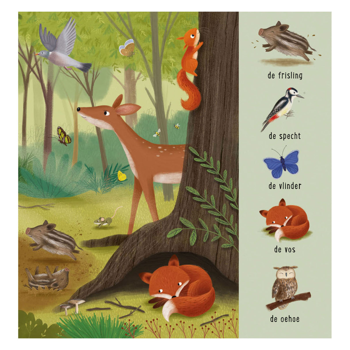 Deltas mein erstes Suchbuch – Tiere im Wald