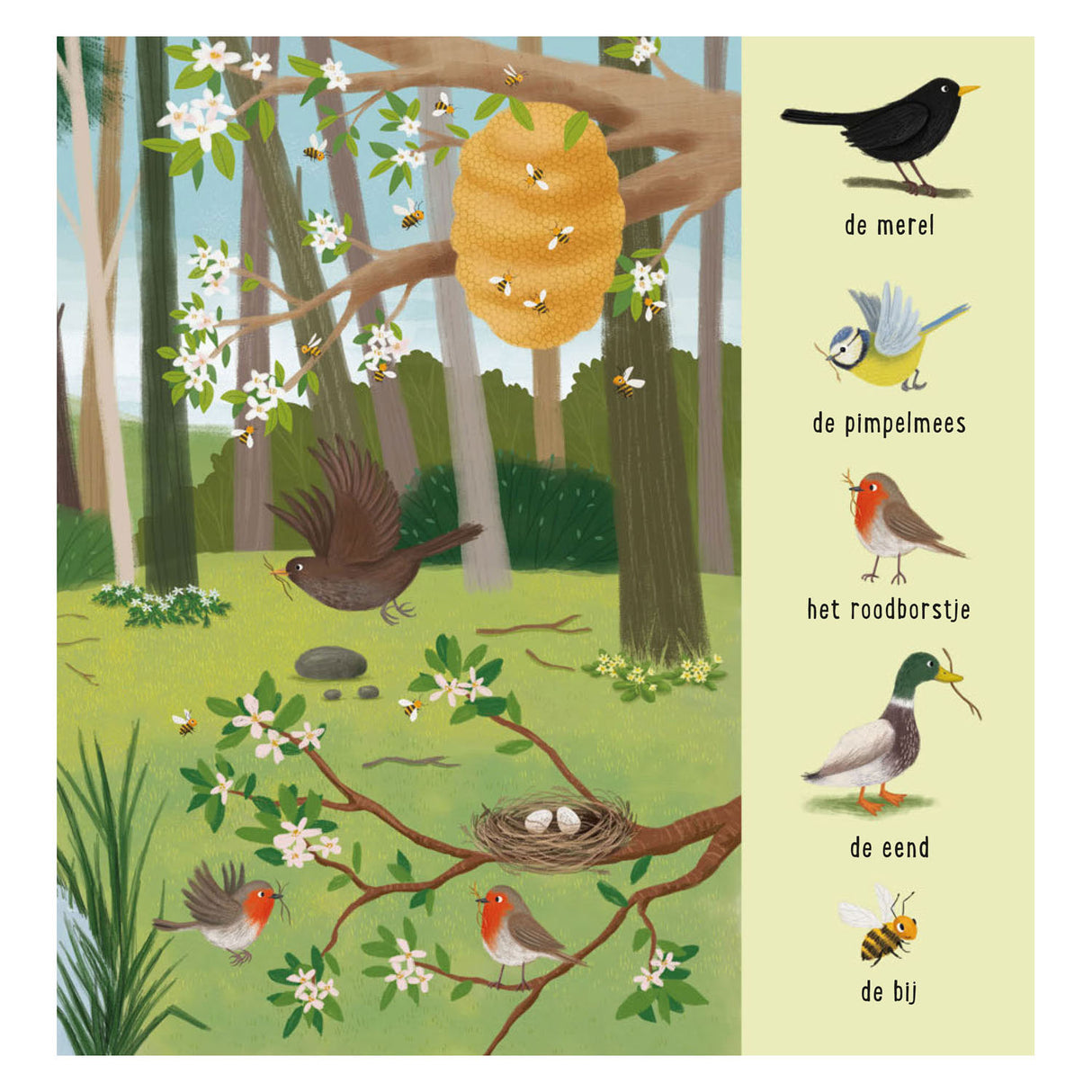 Deltas mein erstes Suchbuch – Tiere im Wald