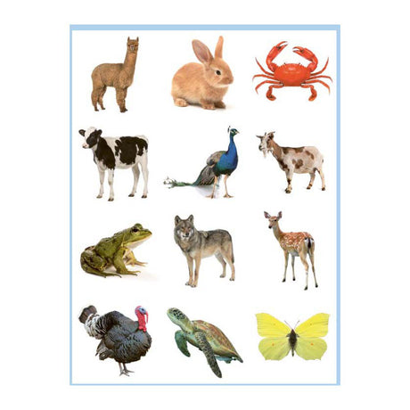 Deltas Mal- und Stickerbuch mit süßen Tieren – 3–5 Jahre