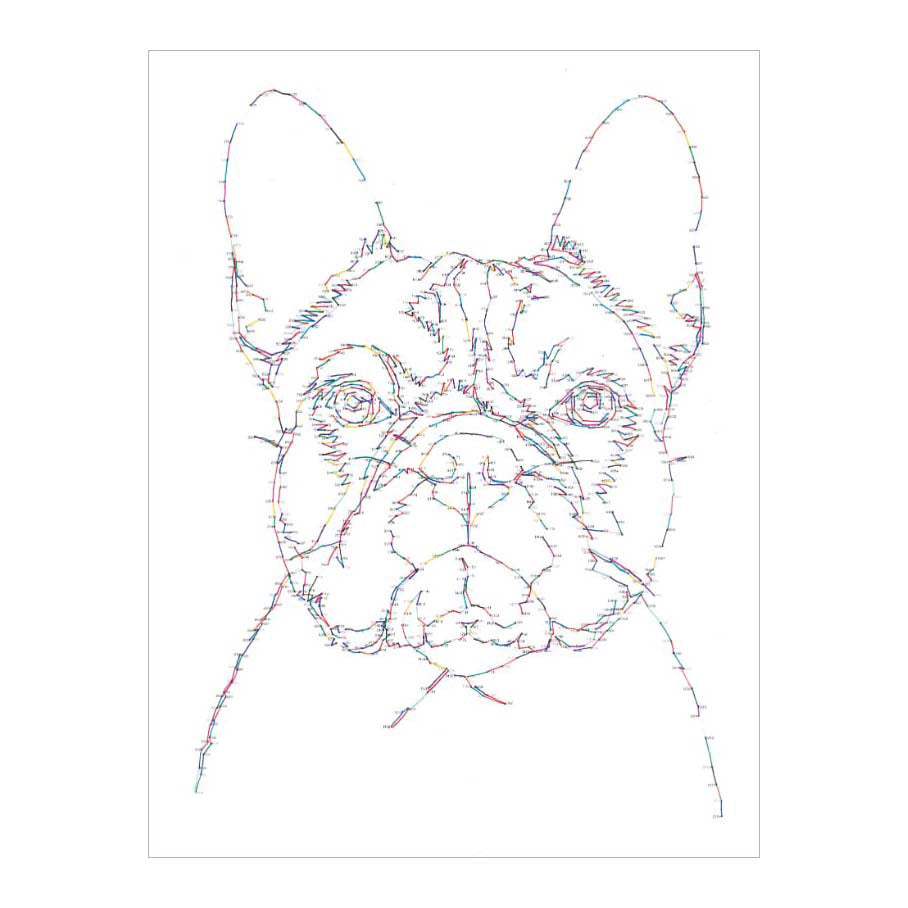 Zeichnen von Deltas von Punkt zu Punkt der Hundewelt