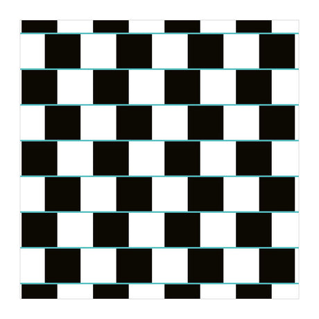 Deltas optische illusies - memospel