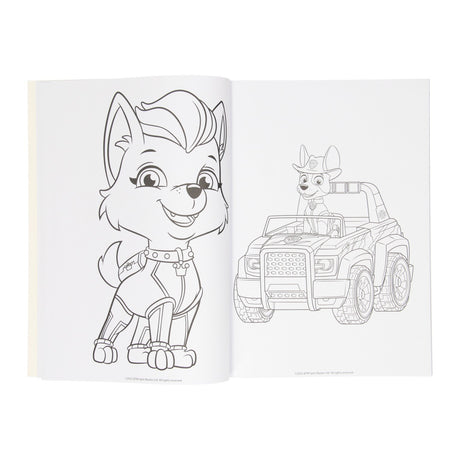 Wins Holland Malbuch Paw Patrol, 128 Seiten.