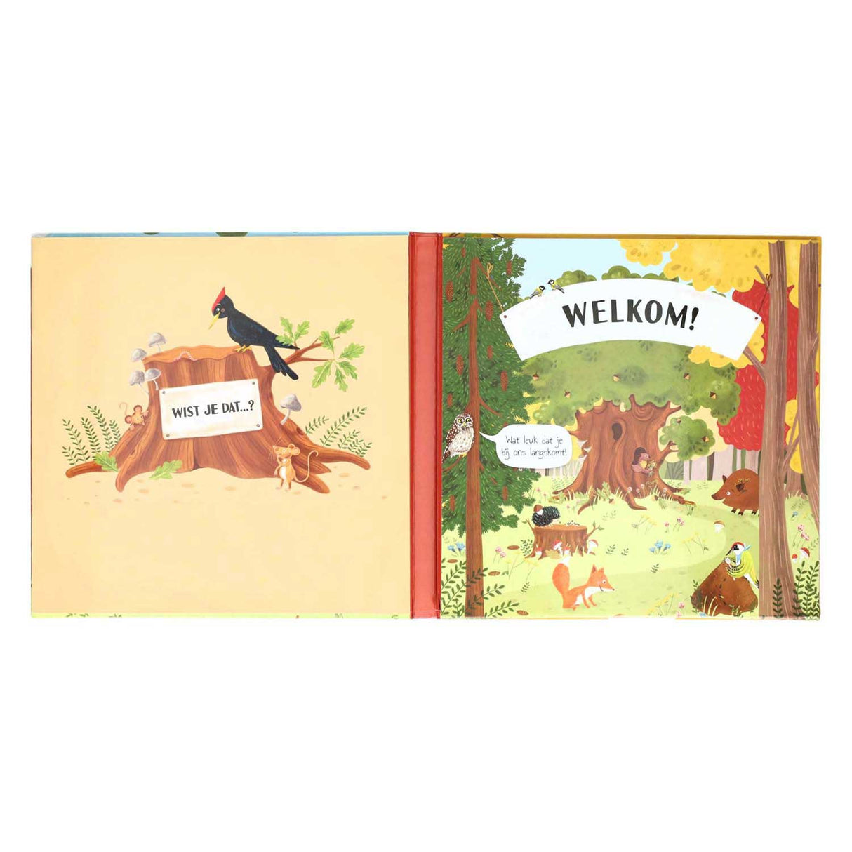 Book Specials Netherlands BV Falt- und Klappbuch im Baum