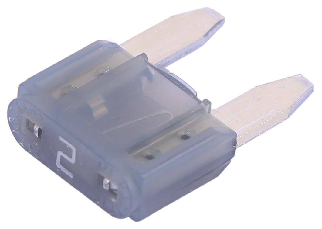 Corexx Sicherung Bananenstecker Mini Mini Schutz 2a cont.50