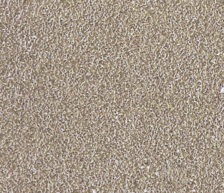Ranger Ink Ranger • Tim Holtz Distress Mini-Stempelkissen, ausgefranstes Sackleinen
