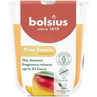 Bolsius | 3 Stück