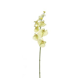 No brand Kunstblume Orchidee creme 85 cm