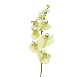 No brand Kunstblume Orchidee creme 85 cm