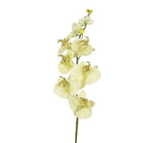 No brand Kunstblume Orchidee creme 85 cm