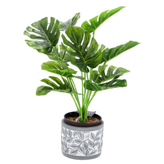 Kein Markentopf Olea Zylinder grau 11 cm | 6 Stück