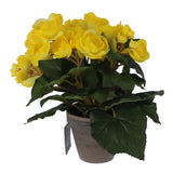 Edelman Kunstpflanze Begonie gelb im Topf | 2 Stk