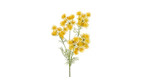 Wildwortel l80cm geel