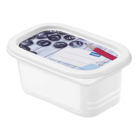 Rotho Gefrierdosen-Set 4-teilig 0,2l