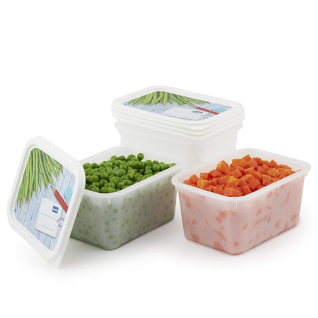 Rotho Gefrierboxen-Set 4-teilig 0,75l