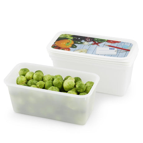 Rotho Gefrierboxen-Set 3-teilig 1,5l