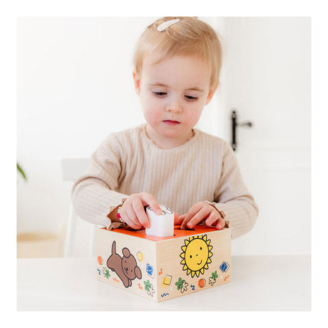 Bambolino Miffy Formsortierer aus Holz. 3+