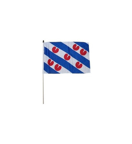 Zwaaivlag fryslan groot 50x70cm + stok