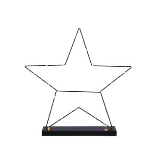 Edelman Dekostern schwarz 25 LED batteriebetrieben B9xT55cm