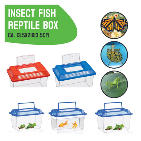 Markenlose Sans-Marque-Insektenbox mit Deckel – transparente Kunststoff-Insektenbox 1,8 Liter.