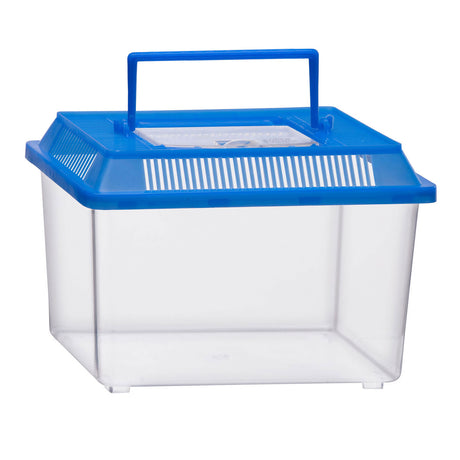Markenlose Sans-Marque-Insektenbox mit Deckel – transparente Kunststoff-Insektenbox 1,8 Liter.