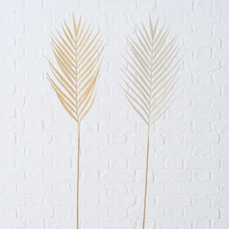 Boltze Home Kunstzweig Dekozweig 90cm Palmblatt natur