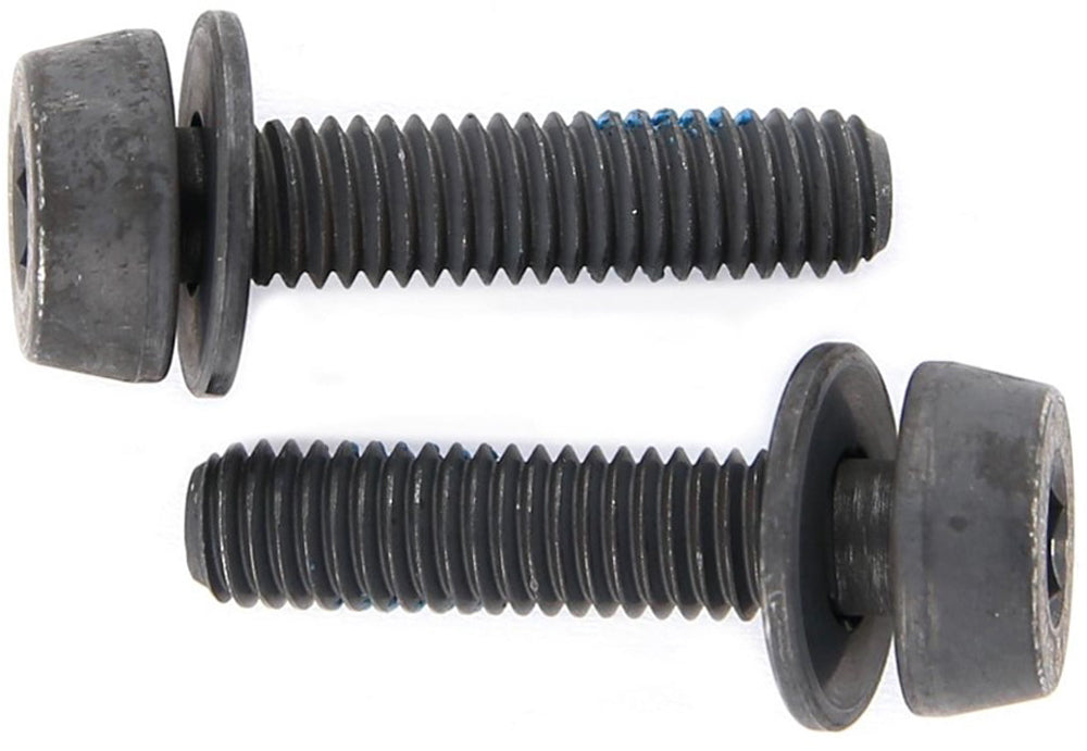 Campagnolo Bremssattelschrauben-Set, Adapter fm 29 mm, Set a 2