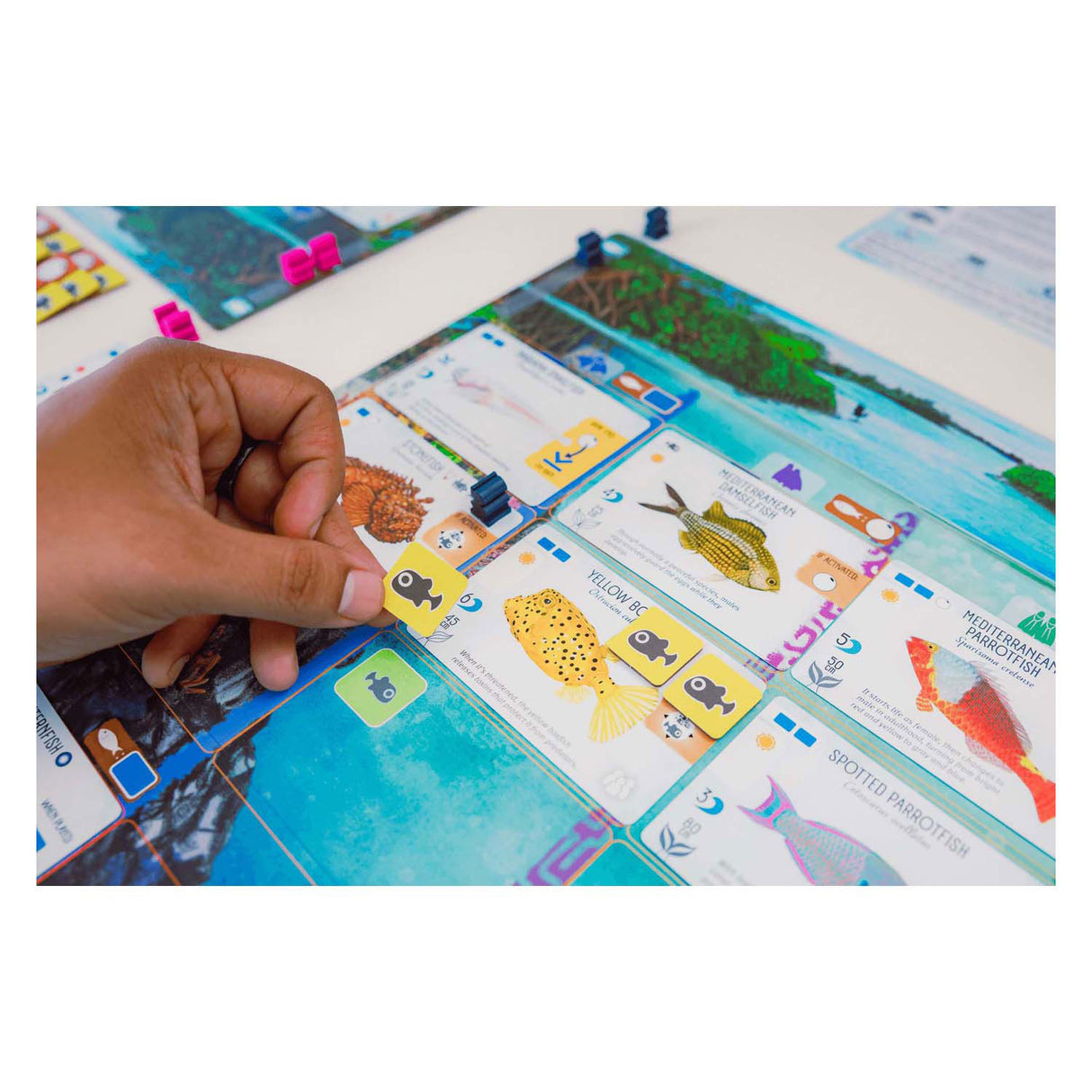 999Games 999 Games Finspan Brettspiel