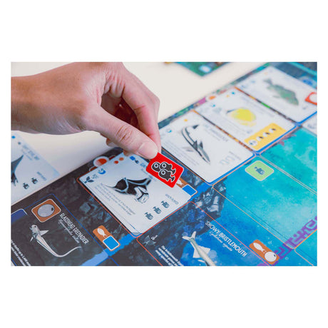 999Games 999 Games Finspan Brettspiel