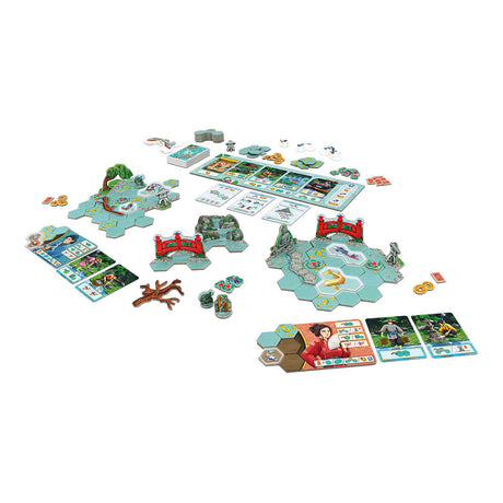 999games 999 games koi bordspel (nederlands, 1 - 4 spelers, 45 minuten, vanaf 10 jaar)