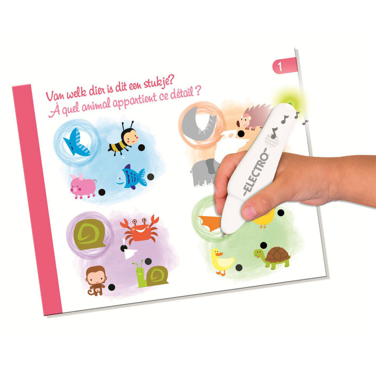 Jumbo-Elektrowunderstift Entdecken Sie die Tiere