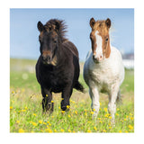 Ravensburger Puzzle süße Ponys - 3x49 Teile - Kinderpuzzle