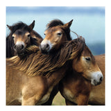 Ravensburger Puzzle süße Ponys - 3x49 Teile - Kinderpuzzle