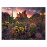 Ravensburger Puzzle Kaktus 500 Teile
