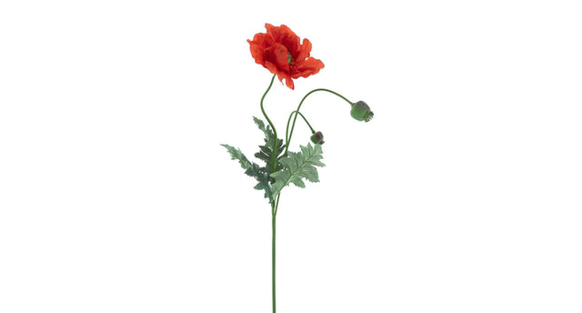 Poppy spray casper red 93cm