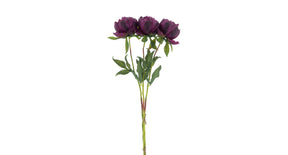 Paeony marlie bundle a 3 pcs aubergine 63cm