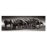 Clementoni Puzzle Riesenherde, 1000 Teile.
