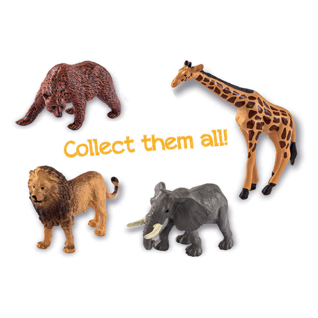 Clementoni Wissenschaftsspiel „My Wild Terrarium – Bär“.