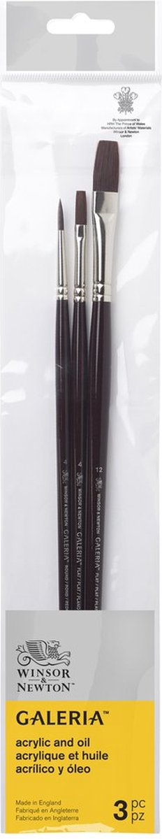 Winsor Newton 5790609 Galeria Acrylpinsel-Set – 3 Pinsel mit langem Griff für Acrylmalerei (rund 4, flach 4, flach 12)