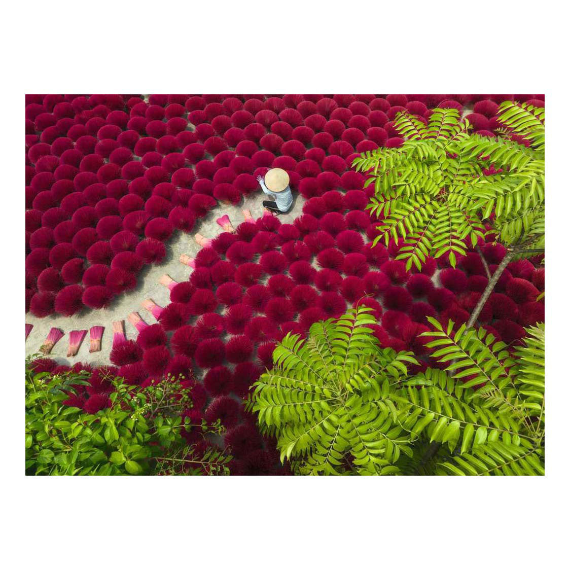 Ravensburger – ein Meer aus Rot – Puzzle – 500 Teile