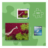 Ravensburger – ein Meer aus Rot – Puzzle – 500 Teile