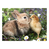 Ravensburger – Kaninchen und Küken – Puzzle – 500 Teile