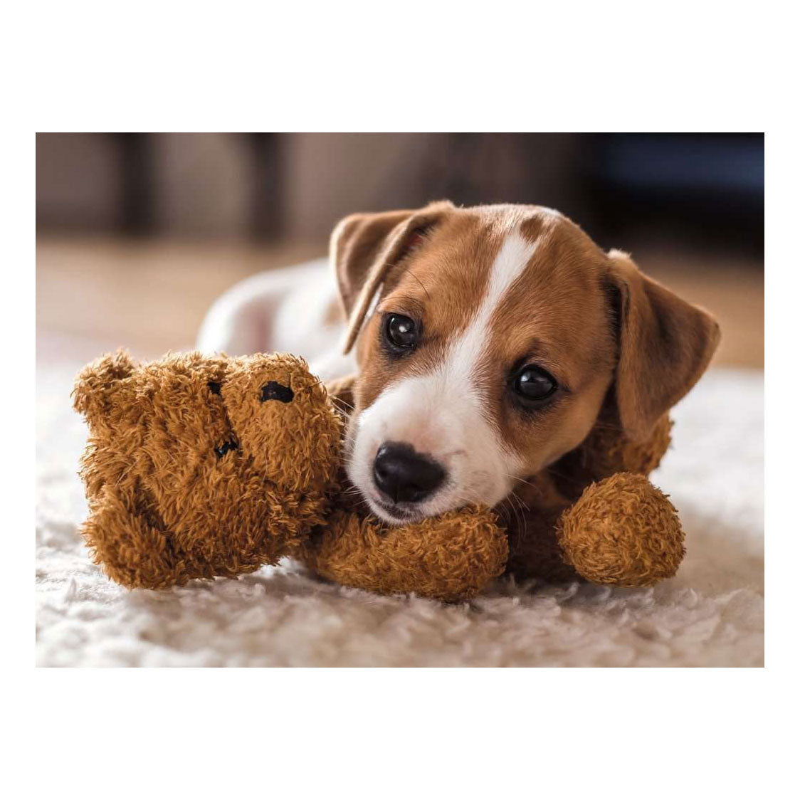 Ravensburger – Kuschelfreunde – Puzzle – 500 Teile