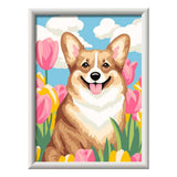 Ravensburger – Creart: Blumencorgi – Malen nach Zahlen
