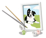 Ravensburger Kreart Gemälde auf Zahlen Border Collie